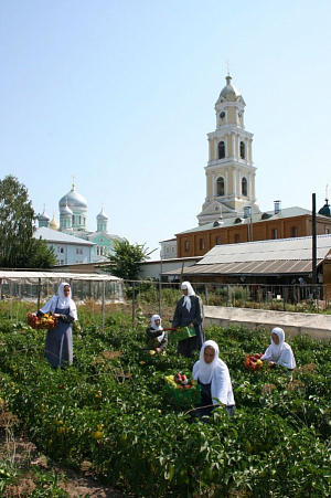 Огородное послушание