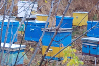 В Сухотинском Богородице-Знаменском монастыре занимаются пчеловодством