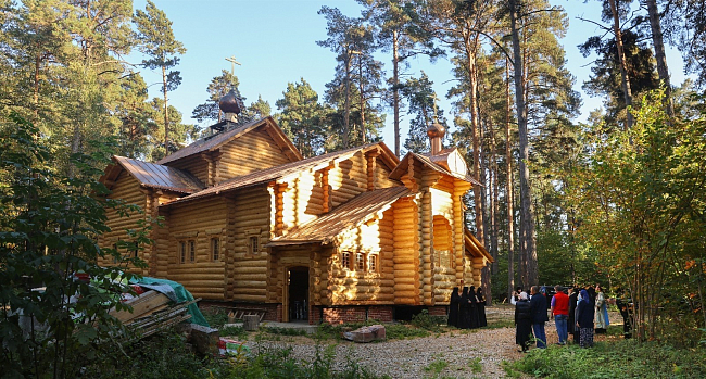 Лесной участок