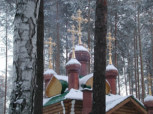 В монастыре на Ганиной Яме состоялось святочное представление