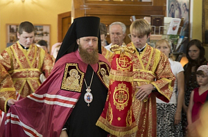 Я еще ни разу в жизни не пожалел о сделанном мною выборе