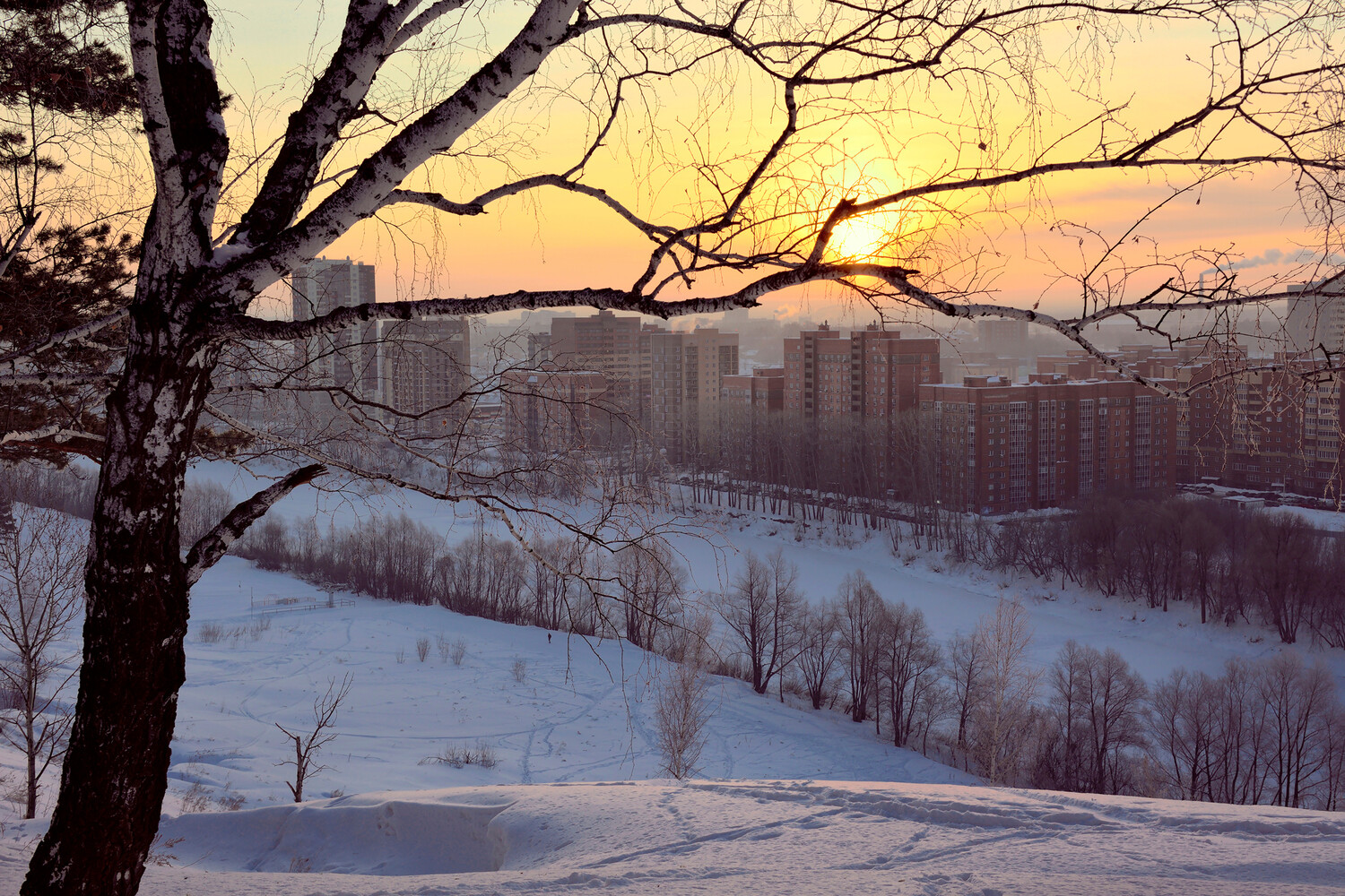 14a9ac08-940f-4a9c-bed9-fb6a53e48da1-679df23a