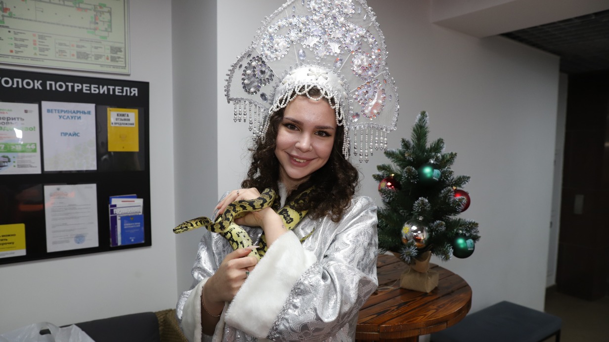 Змея тоже может веселиться: как правильно ухаживать за необычным питомцем 3b3fbedd-6e57-4b31-8ce0-325c8d94c9ea-67c08bf8