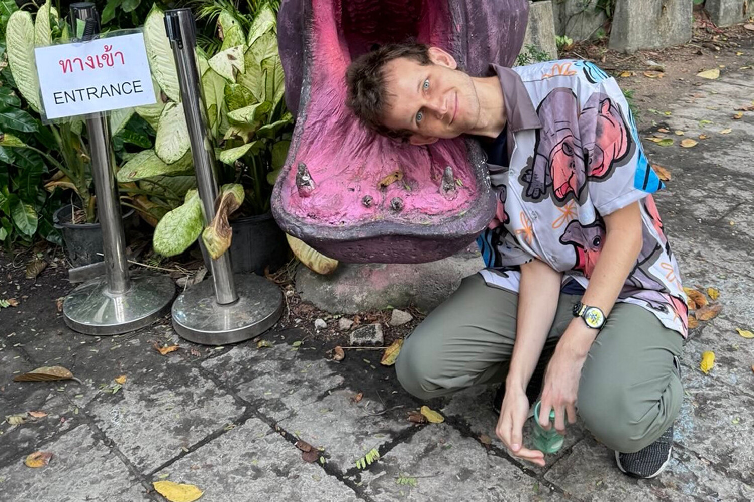 Создатель Ethereum оказал поддержку редкому виду бегемотов в Таиланде 4bbc4e6f-45f3-48f4-8c77-42ceca1b3663-67c6fcbf