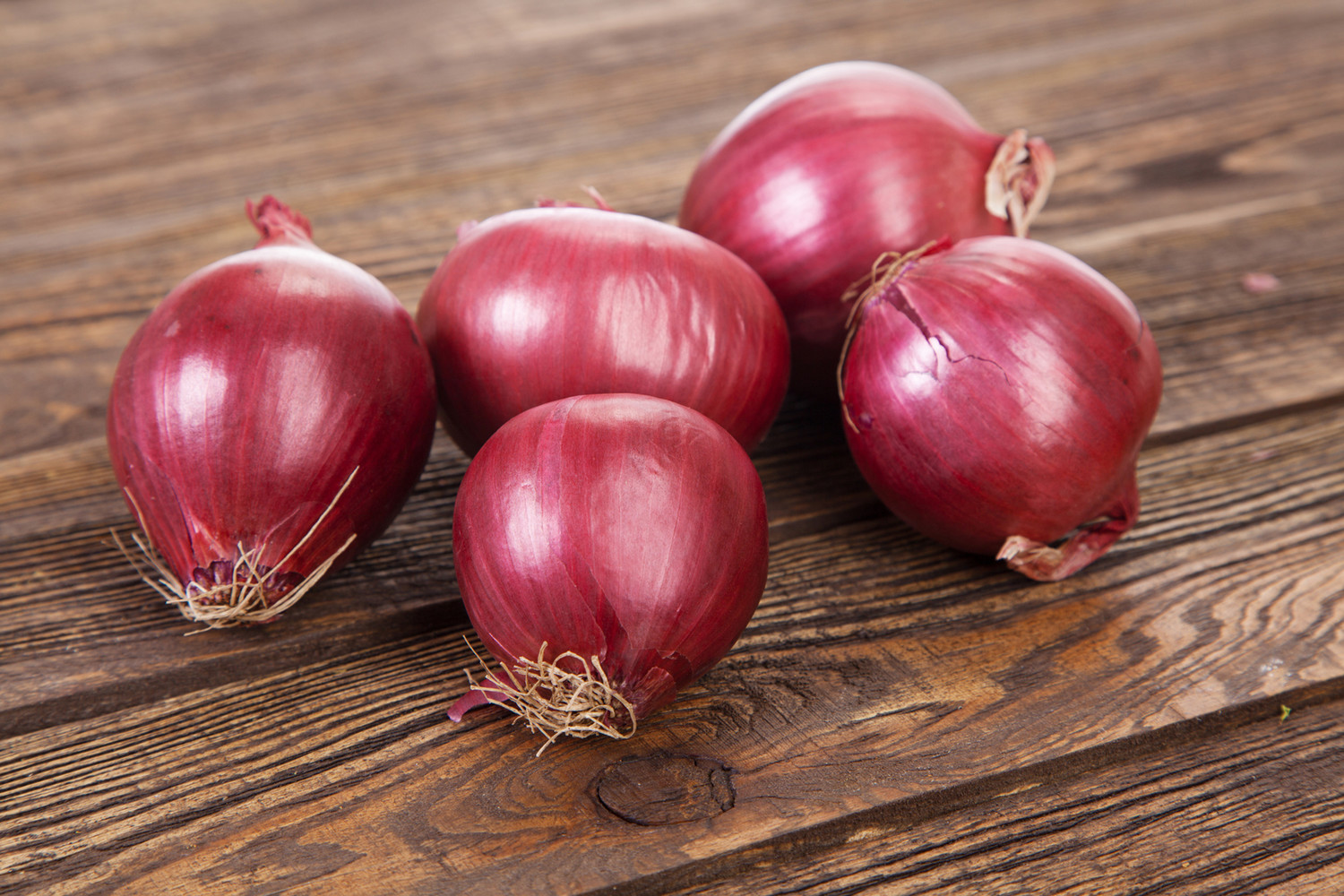 Инновационная разработка: создание климатоустойчивых овощных культур 77d7023a-613b-487b-9645-bb0defae5506-67a1067f