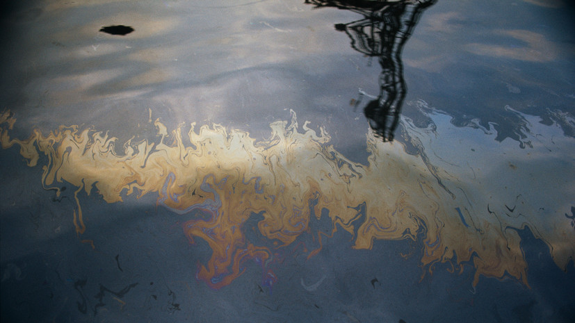 Очистка побережья Чёрного моря идёт полным ходом: МЧС о текущих результатах a869151b-7502-4a35-ac65-34c391e937ce-67c09bc6