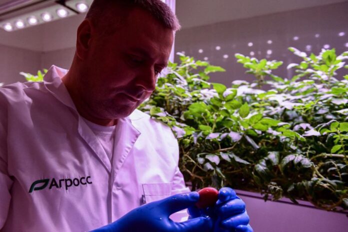 Прорывная технология круглогодичного производства картофеля появилась в технопарке Университетский 073569ac-66c0-4ad5-9ac7-974786d9a961-67eed0c8