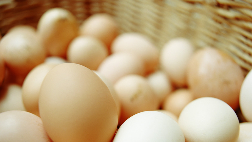 539dd5da-cdbd-46ba-a317-b84951ae6105-67d996ee