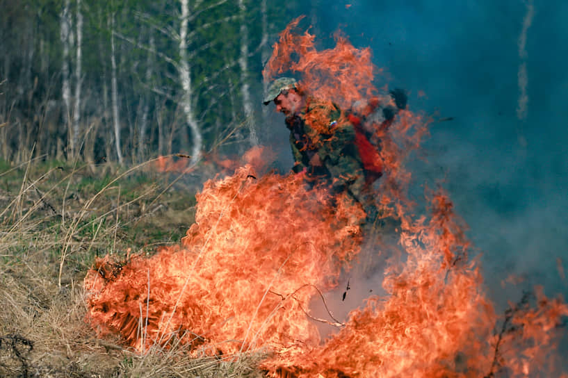 Регионы усилят противопожарную защиту лесов по новым стандартам 991da5e3-4354-4e5d-8a2b-8f886248fe5b-67e1e9e5