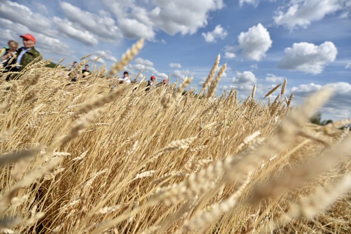 Масштабные инвестиции преобразят сельские территории Свердловской области dc4345d7-36f6-4d17-8ae6-8cbc59f084f8-67e6d096