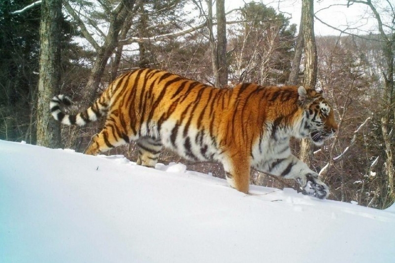 e46a0c3d-46f4-436c-a506-58f4b054c59c-67dc0782