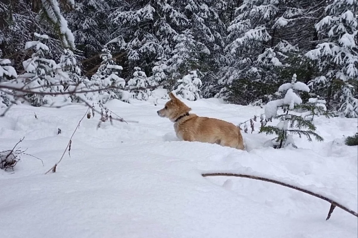 Декабрь 2024 года порадовал уральцев необычно теплой погодой ebcbfefd-5ffe-4ccd-80af-77cba26a5090-67c85ba1