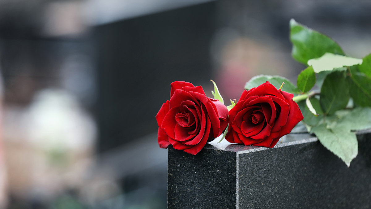 RedRosesOnBlackGraniteTombstoneOutdoorsSpaceForText