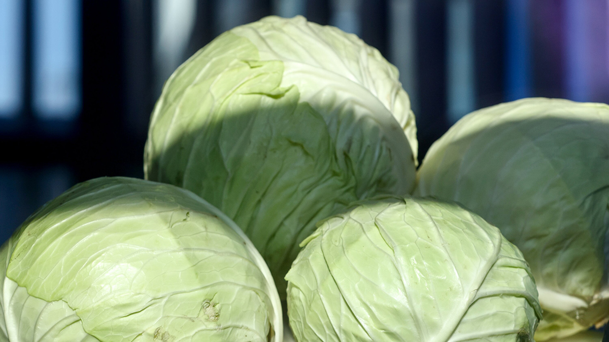 День капусты и День построения воздушных замков — праздники 17 февраля в России и мире Ярмарки выходного дня Волна в Москве