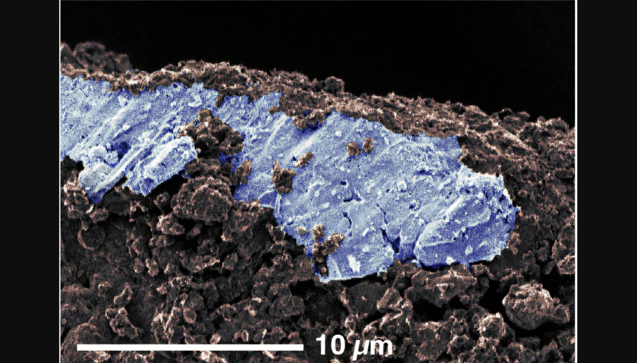 Удивительные следы соленой воды обнаружены в грунте астероида Рюгу 533be7b3-7f58-4566-9a20-11e1f96d6057-6807e1c3