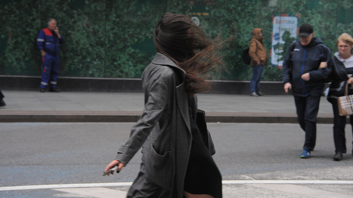 Деревья начали падать в Москве из-за сильного ветра