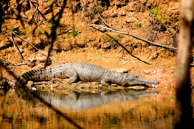 Олимпиада 2032 в Брисбене открывает гребные горизонты на реке Фицрой-0