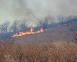 Приморье усиливает пожарную безопасность по инициативе Олега Кожемяко primore usilivaet pozharnuyu bezopasnost po inicziative olega kozhemyako-t-nw-ru-174297195100-0