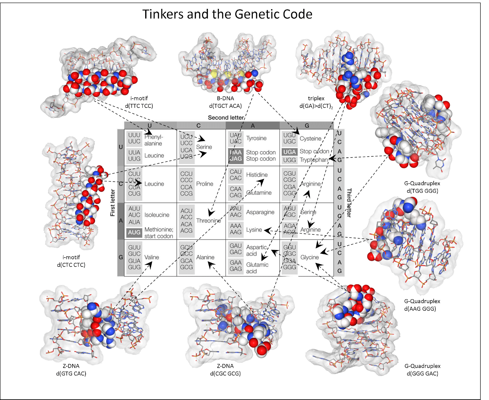 Прорыв в биоинформатике: Алан Герберт и НИУ ВШЭ раскрывают секреты AlphaFold3-0