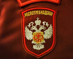 Роспотребнадзор и Домодедовская больница контролируют ситуацию с новыми симптомами заболеваний Cанитарно-карантинный контроль пассажиров в аэропорту Внуково
