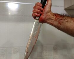 Справедливость и закон в Приморье обеспечены решением суда spravedlivost i zakon v primore obespecheny resheniem suda-t-nw-ru-174285176700-0