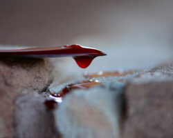 Трагический инцидент на Онежской улице Москвы обнаружено тело мужчины с ножевыми ранениями BloodDropOnAMurdererKnife