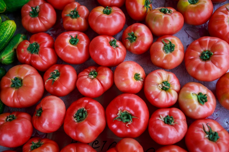 Фото: primamedia.ru