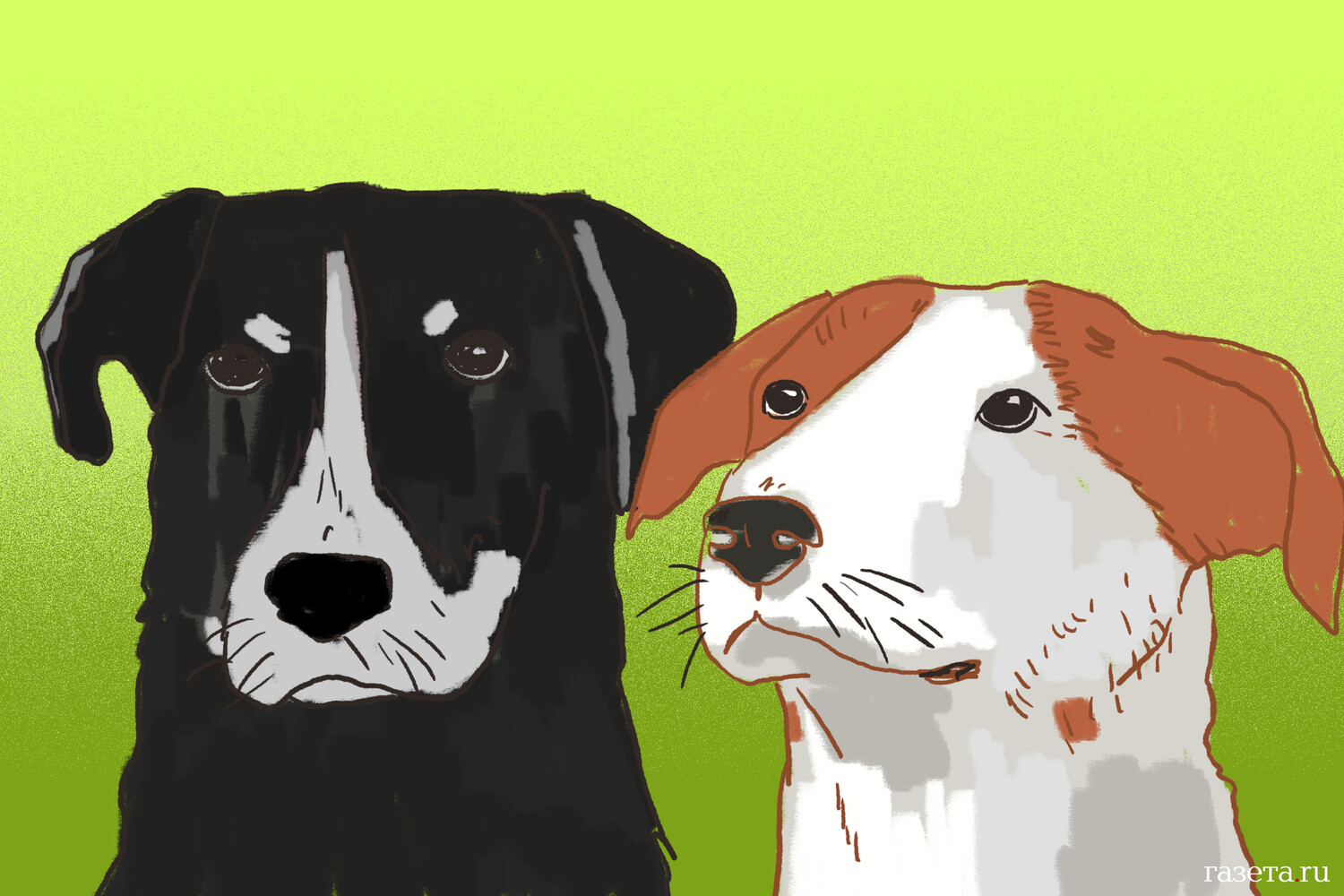 Законодательное собрание Санкт-Петербурга предлагает Госдуме создать единый реестр животных-0