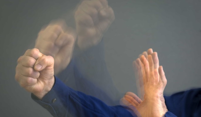 Анна Плетнева вспомнила нападение фаната