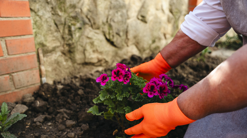 В Ассоциации парков заявили, что москвичи проявляют большой интерес к благоустройству своих дворов