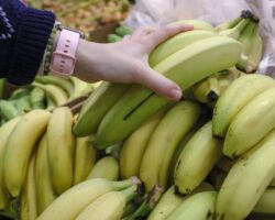 Дарья Русакова и эксперты США - как выбирать фрукты для долголетия darya rusakova i eksperty ssha kak vybirat frukty dlya dolgoletiya-t-nw-ru-174488929200-0