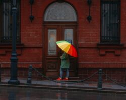 Дожди во Владивостоке придают Приморью обновление этой весной dozhdi vo vladivostoke pridayut primoryu obnovlenie etoj vesnoj-t-nw-ru-174539973900-0