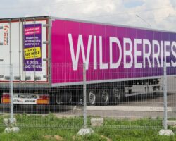 i vb development mvd rossii preseklo moshennichestvo na strojke-t-nw-ru-174499304300-0