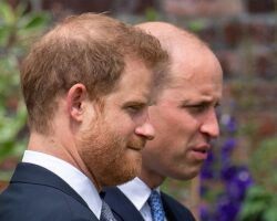 Принц Гарри и Уильям - надежды на восстановление братских отношений princz garri i uilyam nadezhdy na vosstanovlenie bratskih otnoshenij-t-nw-ru-174464953700-0