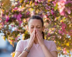 Прогноз пыльцы SILAM на 26 апреля предсказывает березу и аллергены в Москве prognoz pylczy na 26 aprelya predskazyvaet berezu i allergeny v moskve-t-nw-ru-174562724200-0