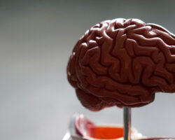 Шарлотта Марсьяль и Кэтрин Мэнникс о свете в моментах ОСП sharlotta marsyal i ketrin menniks o svete v momentah osp-t-nw-ru-174401341700-0