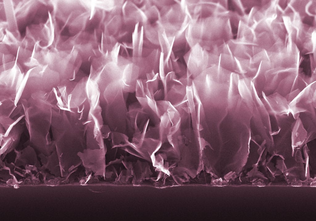 Сколтех и Станислав Евлашин открыли новый этап в разработке суперконденсаторов при поддержке РНФ-0