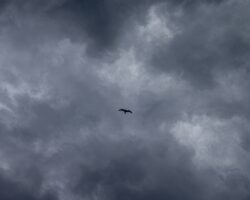 Солнечные периоды и дожди - вихрь формирует погоду Приморья 15 апреля solnechnye periody i dozhdi vihr formiruet pogodu primorya 15 aprelya-t-nw-ru-174489501100-0