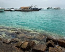 Спасение Кристины Валиуллиной и батискафа Синдбад в Египте spasenie kristiny valiullinoj i batiskafa sindbad v egipte-t-nw-ru-174358896700-0