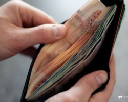 В Приморье назвали профессии с зарплатой свыше 100 тысяч рублей v primore nazvali professii s zarplatoj svyshe 100 tysyach rublej-t-nw-ru-174559065100-0