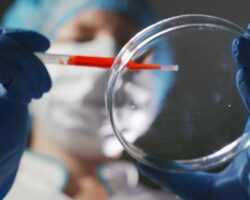 voz i strany mira ukreplyayut gotovnost k ugrozam vrode mamontovoj ospy-t-nw-ru-174470681000-0