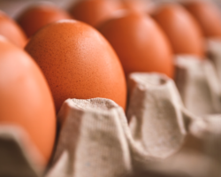 Замены яиц в выпечке - банан, льняное семя и кулинарные лайфхаки zameny yaicz v vypechke banan lnyanoe semya i kulinarnye lajfhaki-t-nw-ru-174469477100-0