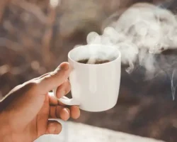 Дарья Цветкова и Нурия Дианова раскрыли секреты кофейной дремы и работы кофеина darya czvetkova i nuriya dianova raskryli sekrety kofejnoj dremy i raboty kofeina-t-nw-ru-174764072400-0