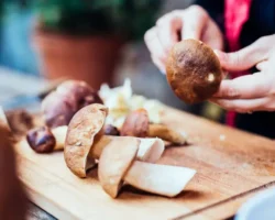 Дмитрий Тихомиров рекомендует Белоомут и сосновые леса в грибной сезон dmitrij tihomirov rekomenduet beloomut i sosnovye lesa v gribnoj sezon-t-nw-ru-174775738200-0