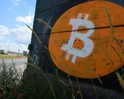 BitcoinTreasuries.net фиксирует рост вслед за Дональдом Трампом и Китаем fiksiruet rost vsled za donaldom trampom i kitaem-t-nw-ru-174842180800-0