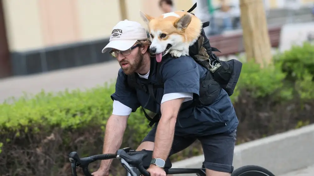 Погода в Москве на неделю с 19 по 15 мая