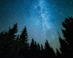 Космос-482 и амбициозные планы Роскосмоса открывают новые горизонты TheMilkyWayRisesOverThePineTreesOnA