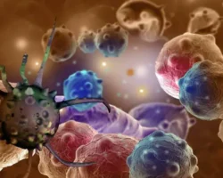 НИЯУ МИФИ и МГМУ представили ФДТ для борьбы с дисплазией и лейкоплакией niyau mifi i mgmu predstavili fdt dlya borby s displaziej i lejkoplakiej-t-nw-ru-174714888100-0