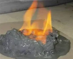 Открытие Desulfosporosinus shakirovi Тихоокеанским институтом им. Ильичева otkrytie tihookeanskim institutom im ilicheva-t-nw-ru-174801459800-0