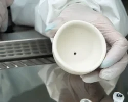 rospotrebnadzor soobshhaet o situaczii s kleshhami i borreliyami vo vladivostoke i primore-t-nw-ru-174698593200-0